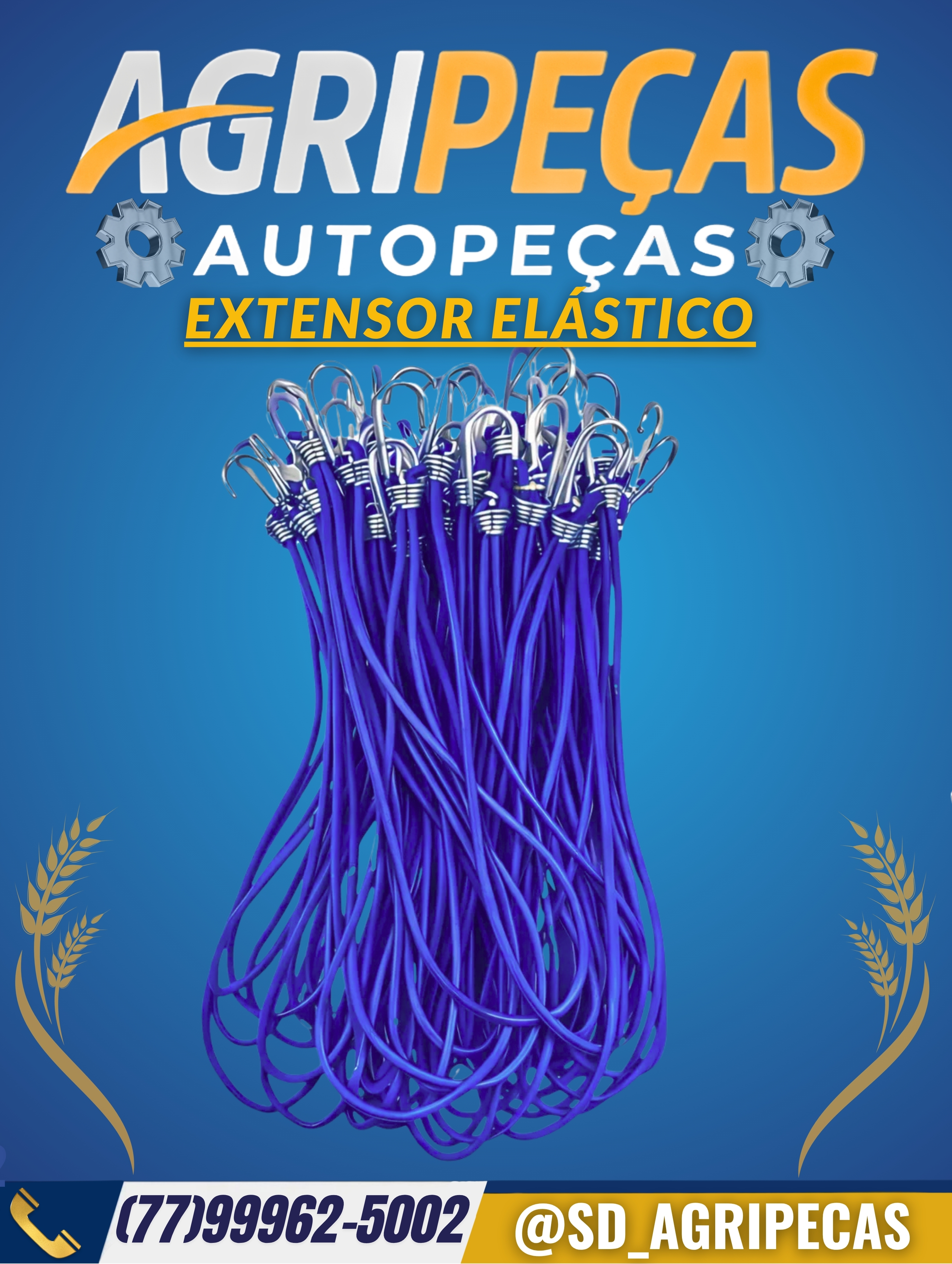 EXTENSOR ELÁSTICO